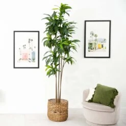 10-ft Artificial Dracaena Tree With Real Touch Leaves