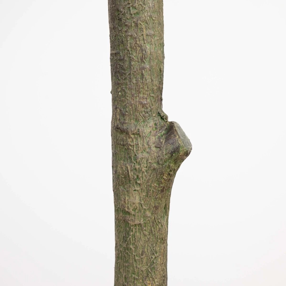 13-ft Giant Artificial Olive Tree - Image 7
