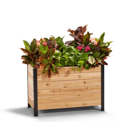 18" X 36" Cedar Planter Box – 24" Tall Raised Garden Bed
