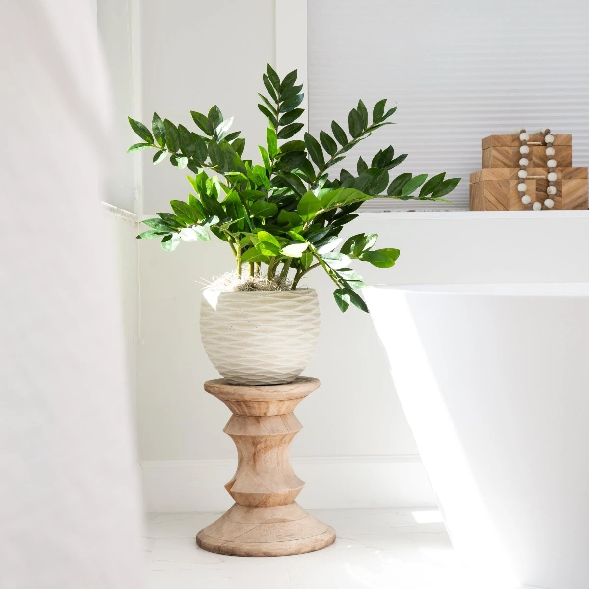 28-in Artificial ZZ Plant | Faux Zamioculcas For Effortless Indoor Greenery - Image 2