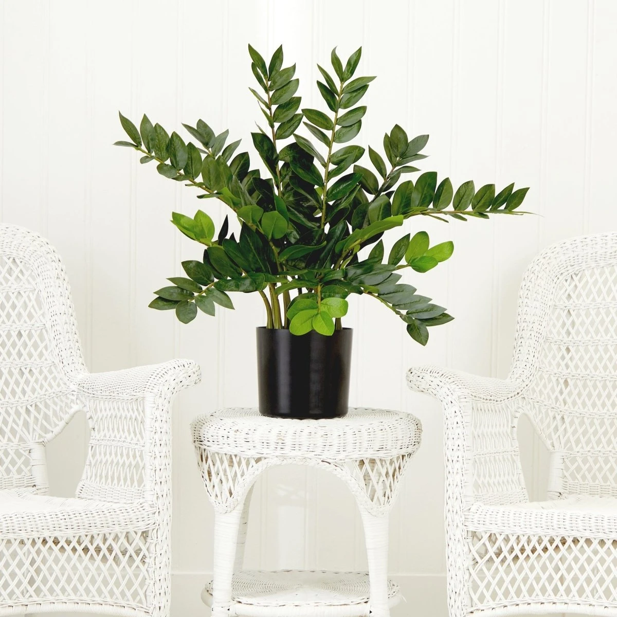28-in Artificial ZZ Plant | Faux Zamioculcas For Effortless Indoor Greenery - Image 6