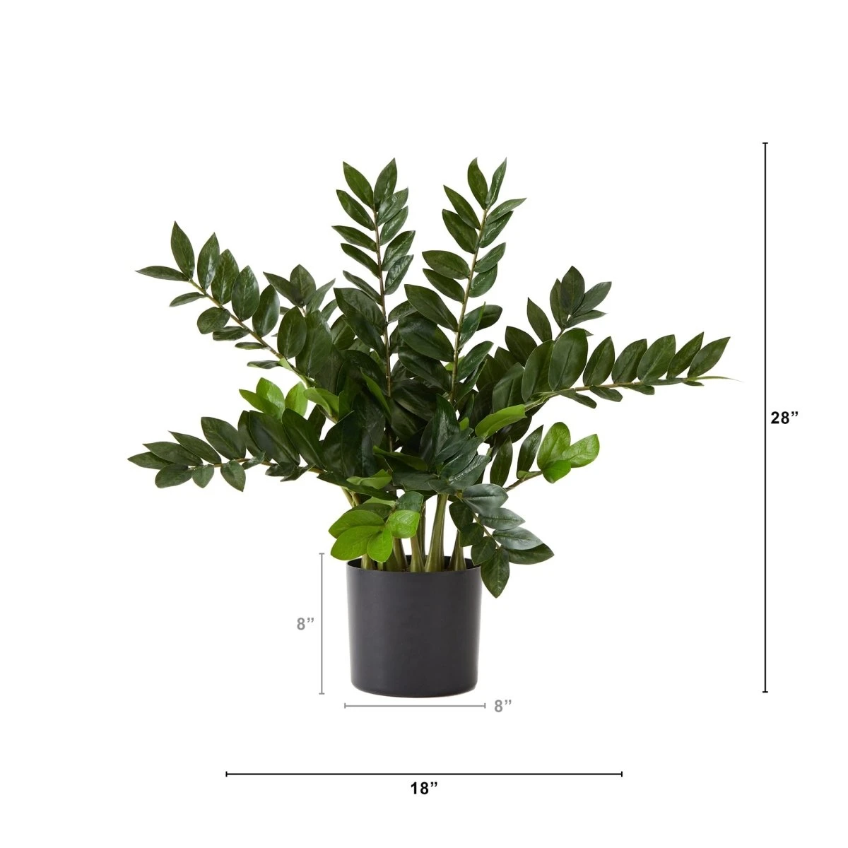 28-in Artificial ZZ Plant | Faux Zamioculcas For Effortless Indoor Greenery - Image 7