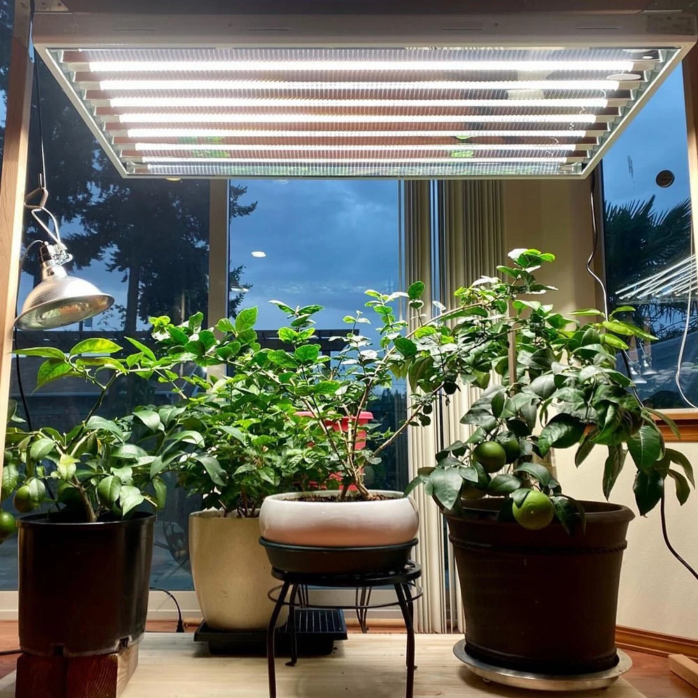 4' 8 Lamp LED Grow Light - T5 HO Sun White Pro Spectrum - Image 6