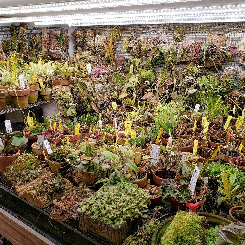 4' LED Grow Lamp With Ballast Bypass – T5 Sun White Spectrum - Image 6