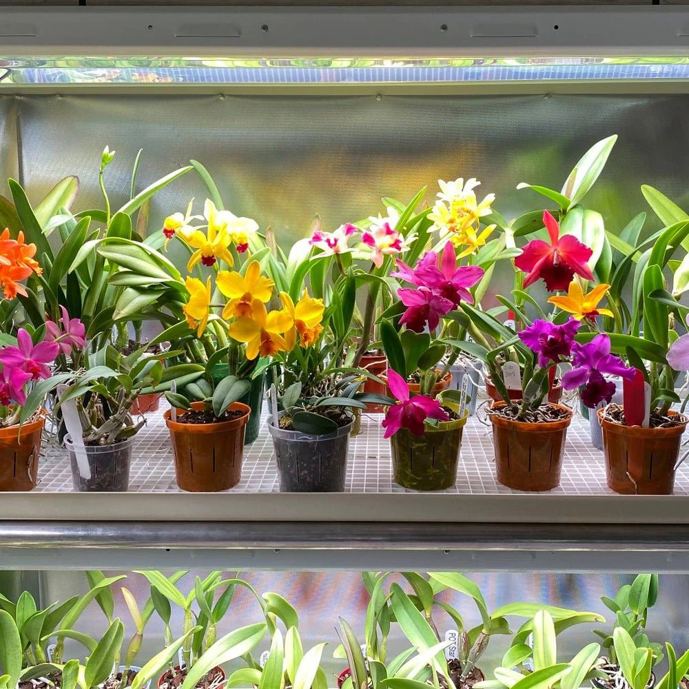 4' LED Grow Lamp With Ballast Bypass – T5 Sun White Spectrum - Image 5