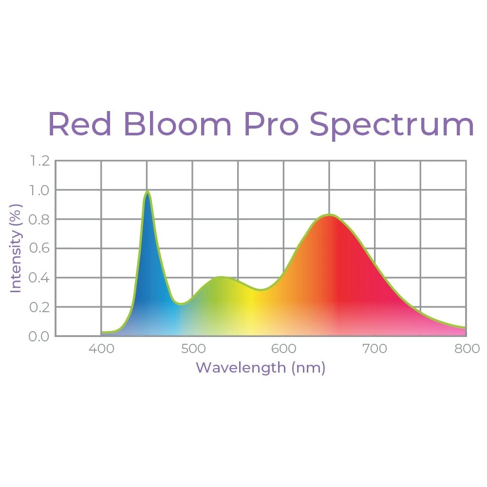 4' Plug & Play LED Grow Lamp –T5 HO Red Bloom Pro Spectrum - Image 2