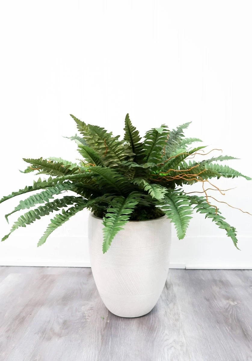 40″ Artificial Boston Fern (Set Of 2) - Image 7