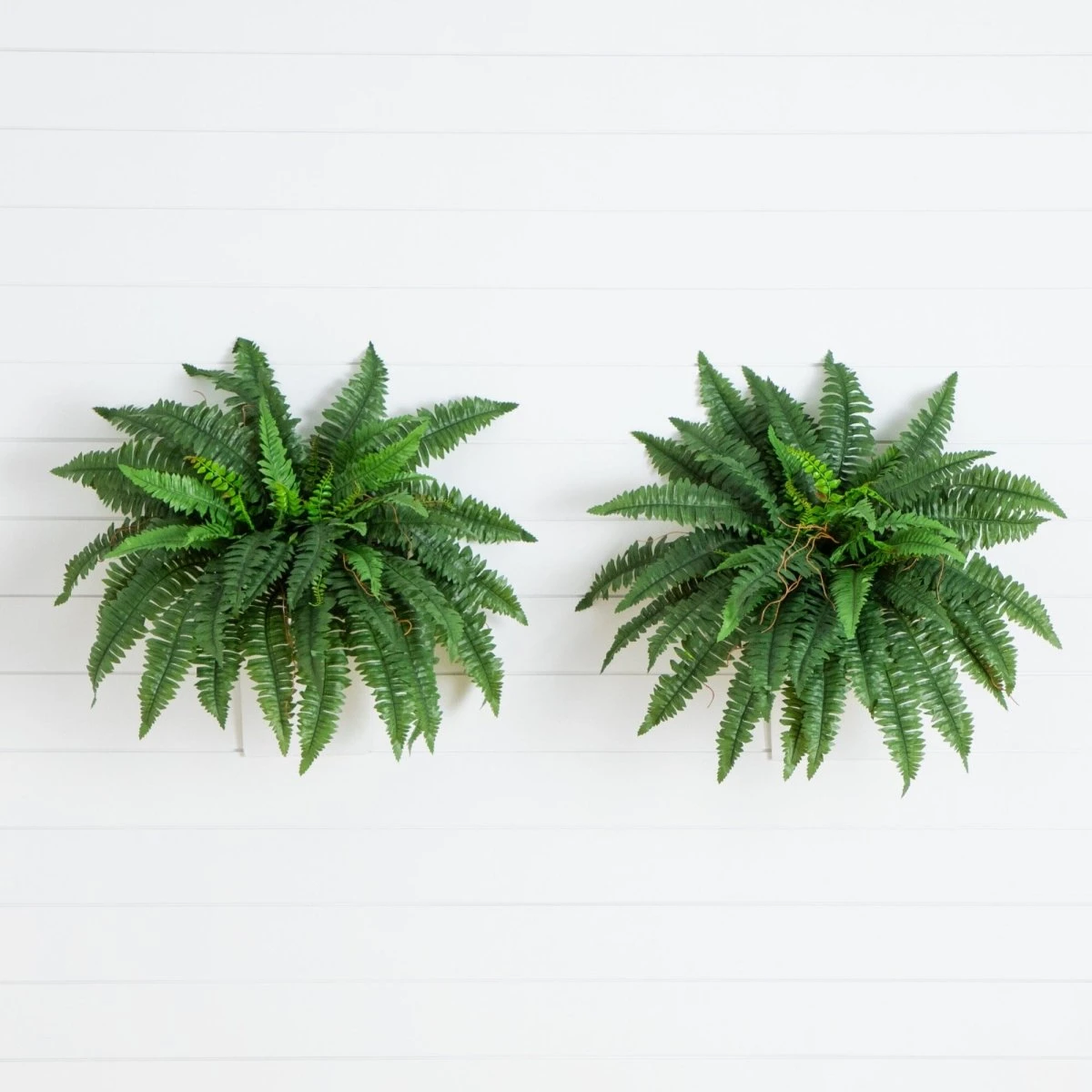 40″ Artificial Boston Fern (Set Of 2)
