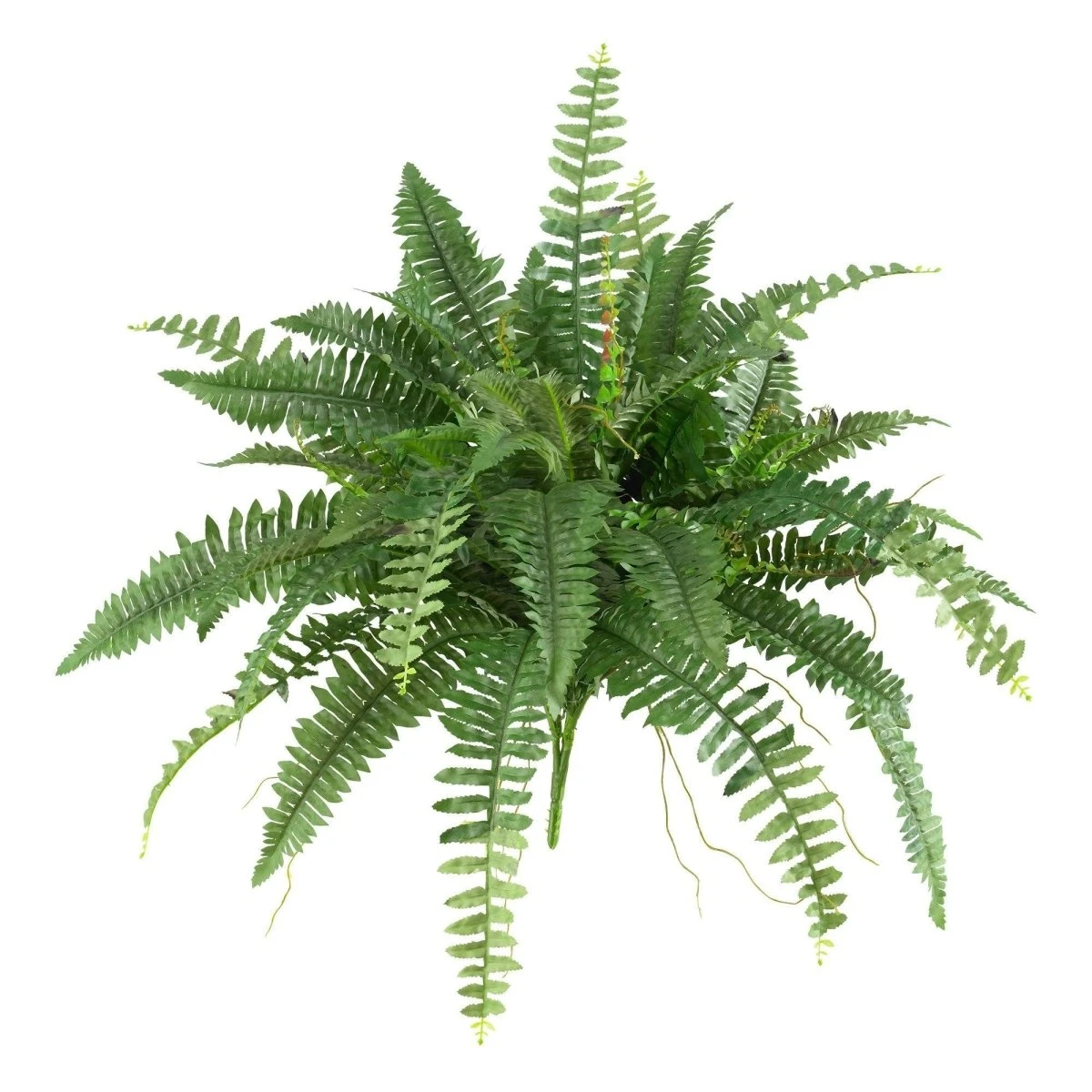 40″ Artificial Boston Fern (Set Of 2) - Image 8