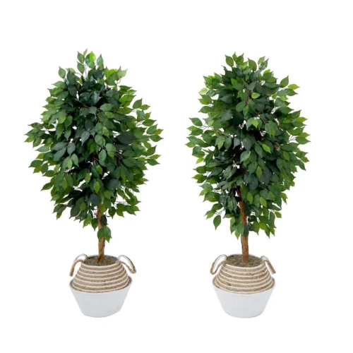 4.5-ft Artificial Ficus Tree With Double Trunk In Cotton & Jute Basket β DIY Kit (Set Of 2)