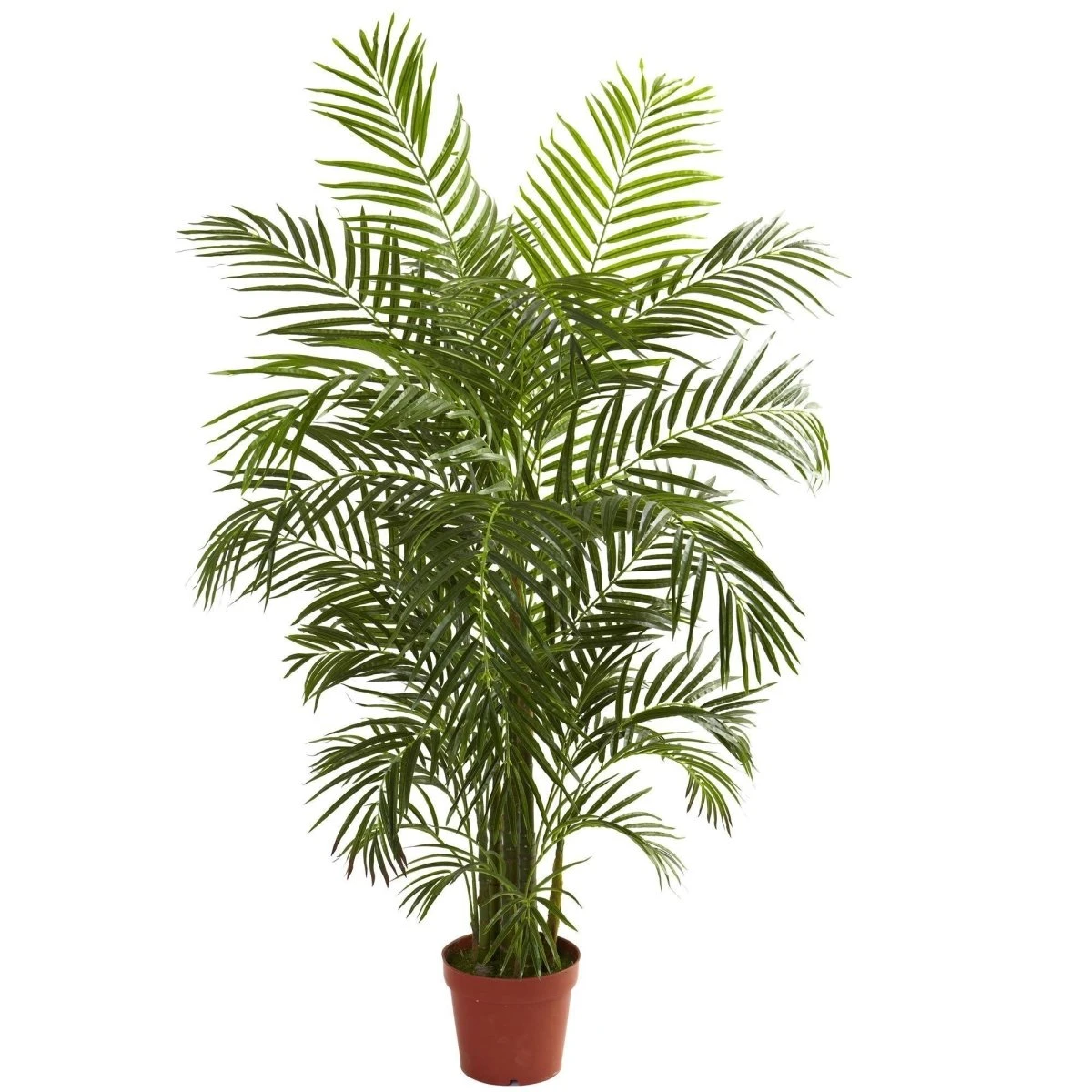 4.5-ft UV‑Resistant Areca Palm Tree – Indoor/Outdoor Faux Plant - Image 4