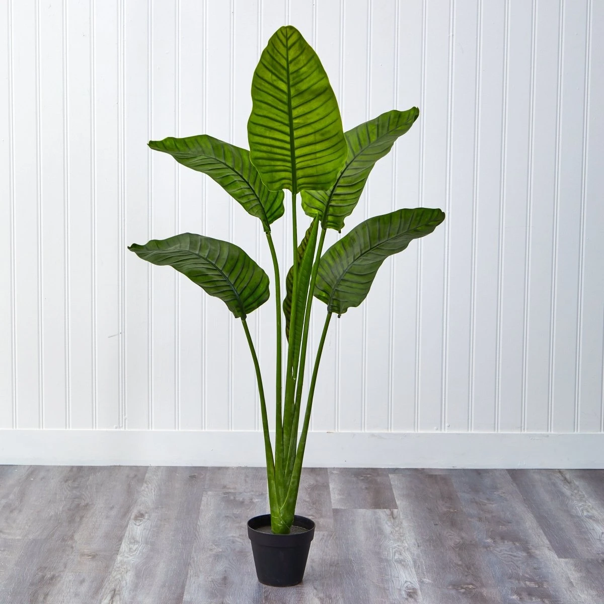 64-in Travelers Palm Tree – UV Resistant (Indoor/Outdoor) - Image 8