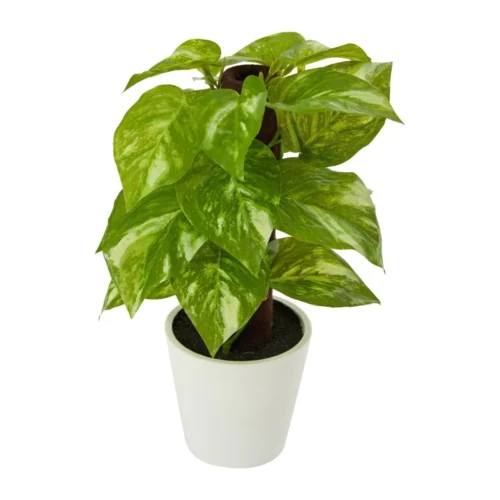9-in Artificial Pothos Plant In White Planter (Real Touch)