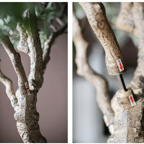 90″ Extra Large Artificial Olive Tree – Realistic Faux Décor - Image 3