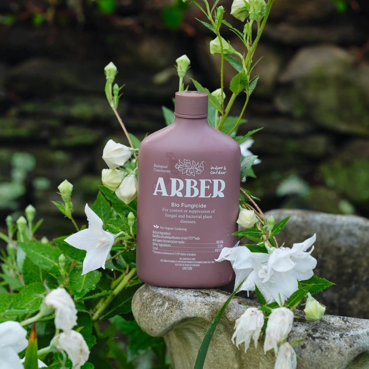 Arber Bio Fungicide – 8oz Concentrate - Image 4