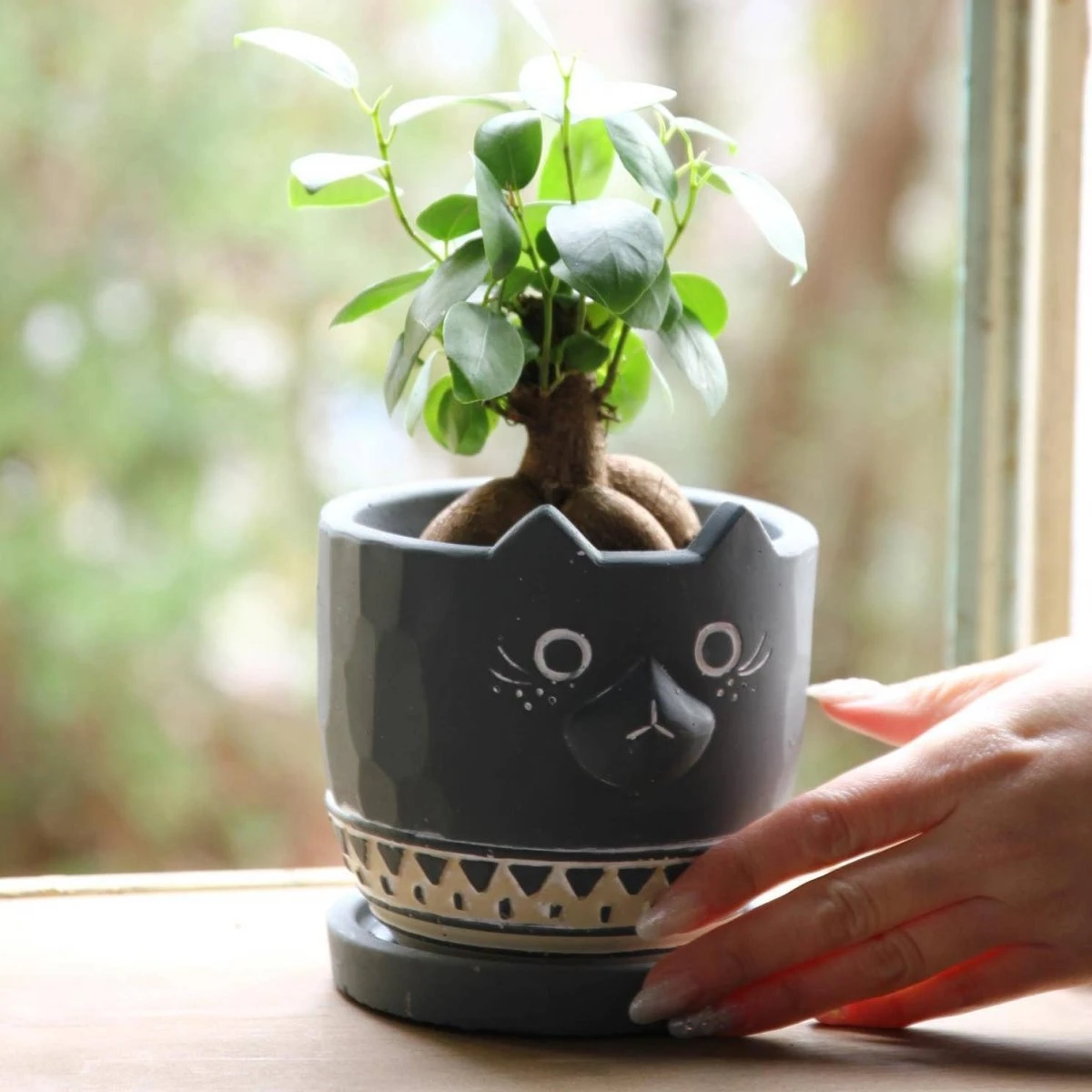 Black Cat Planter - Cement - Image 4