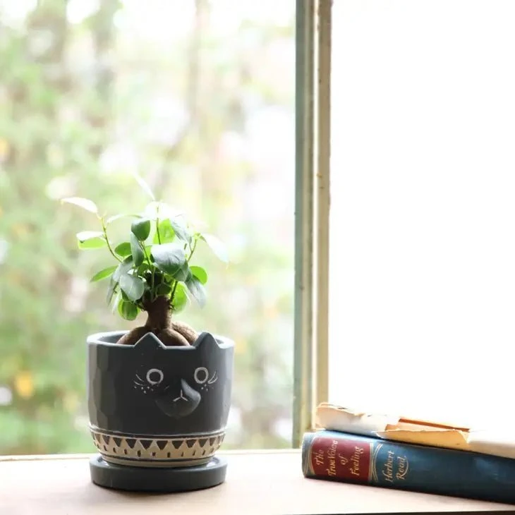 Black Cat Planter - Cement - Image 6