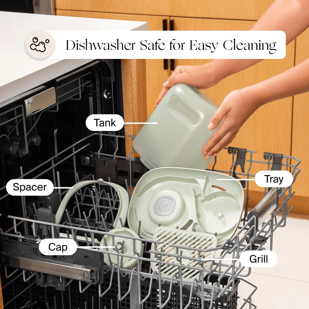 Canopy Bedside Humidifier 2.0 β Hydrate Your Plants, Skin & Sleep Naturally - Image 16