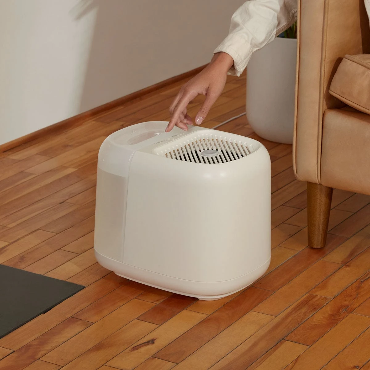 Canopy Large Room Humidifier: Hydrate Plants, Skin & Space - Image 16