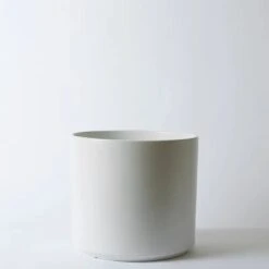 Ceramic Cylinder Planter By Solid Goods With Optional Mahogany Stand