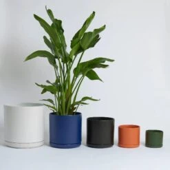 Ceramic Cylinder Planters With Saucer – Modern Indoor & Outdoor Pots In Multiple Sizes