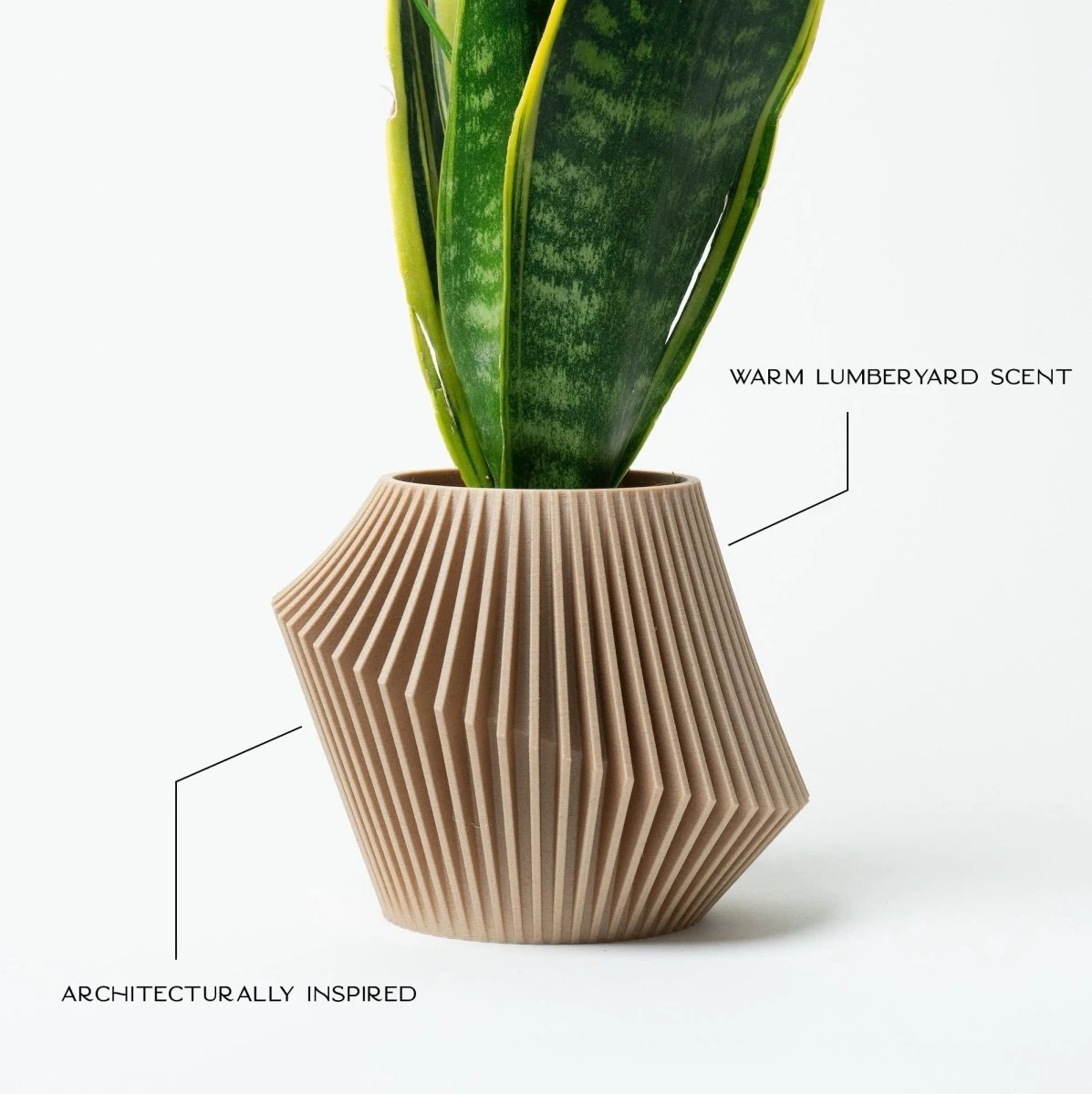 Disc Indoor Modern Style Planter - Various Sizes And Colors - Image 4