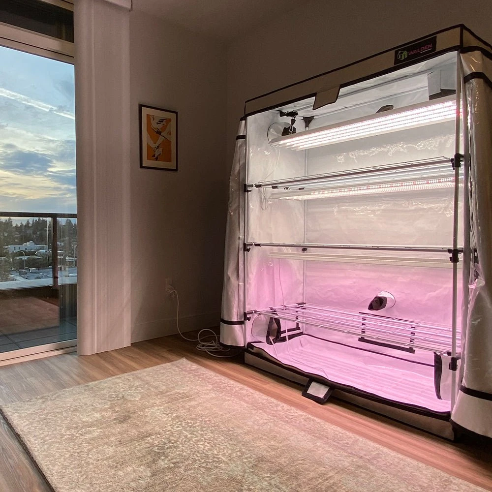 Flowers & Fruits 3-Tier Walden White LED Grow Tent Kit - Image 8