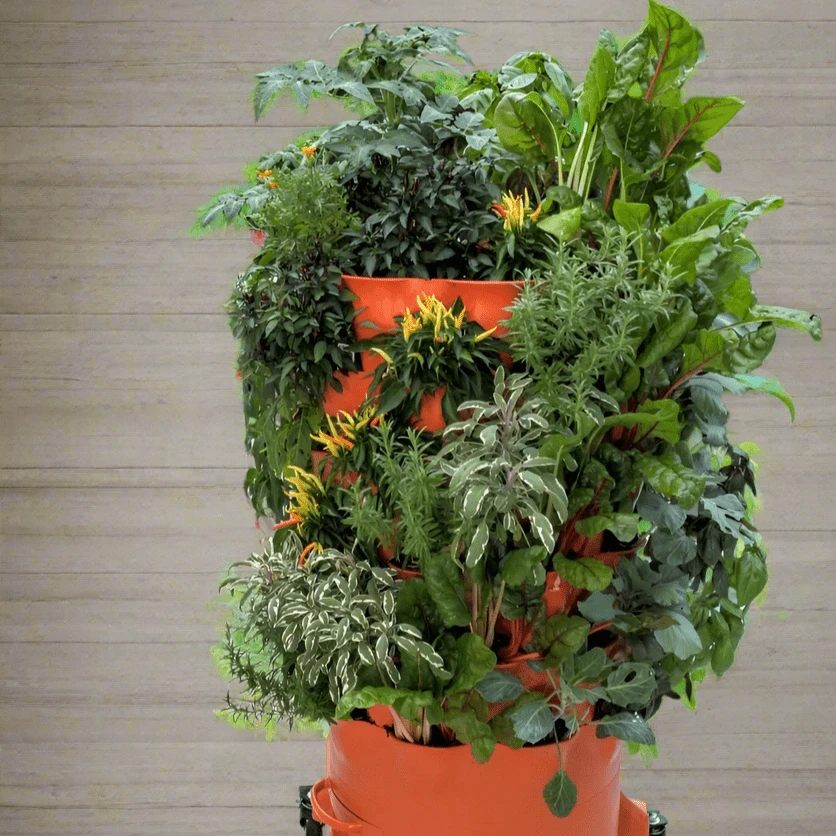 Garden Tower 2 - Move And Grow Bundle - Image 8