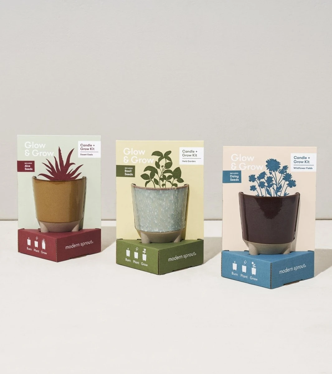 Glow & Grow Candle-to-Planter Kit – Basil, Daisies, Aloe, Or Spruce - Image 3