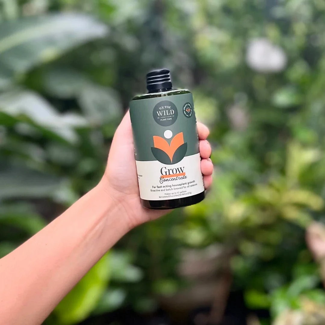 Grow Concentrate - Organic Plant Food - Image 5