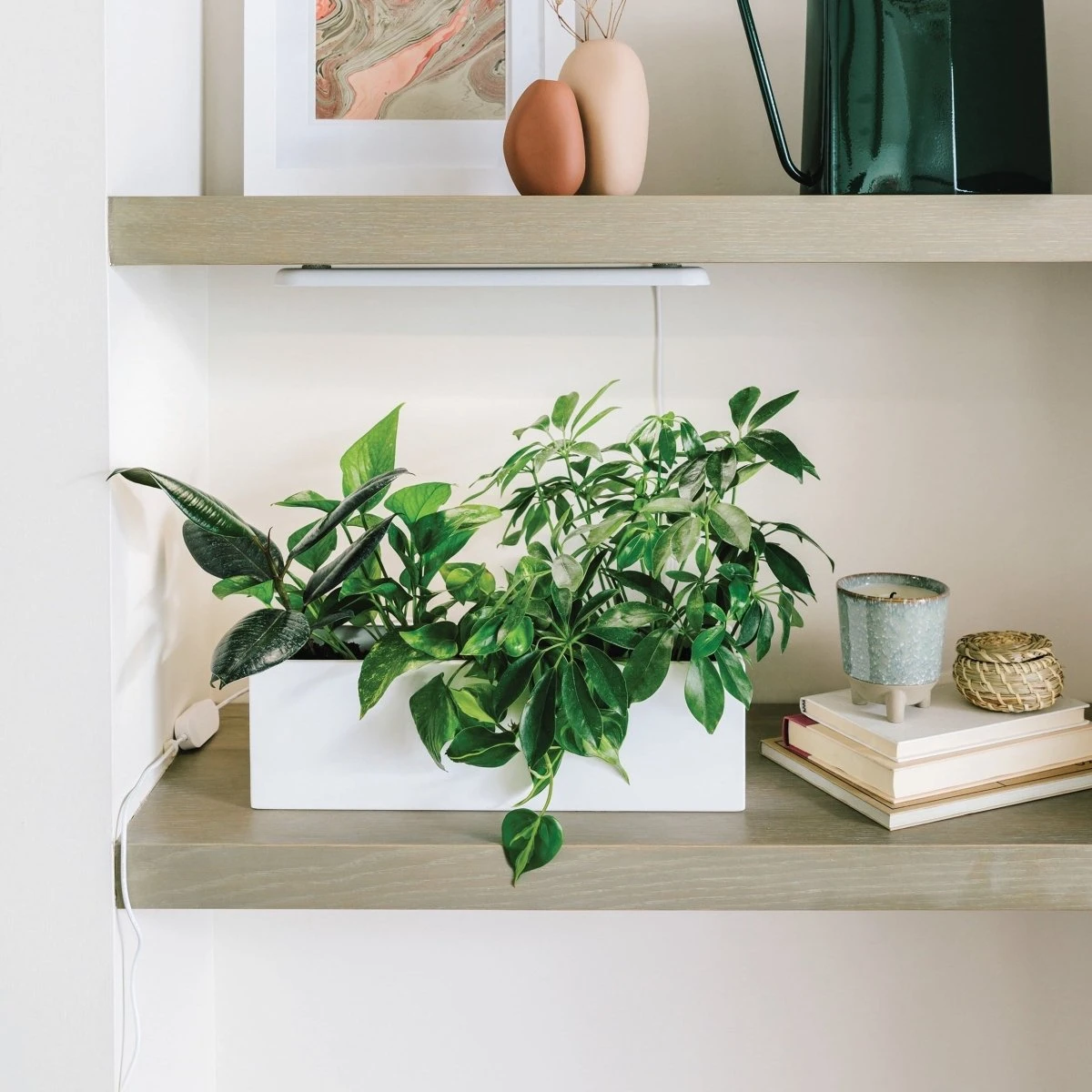 Growbar White LED Grow Light Fixture (Online Only) | Under Cabinet Or Shelf Mount - Image 7