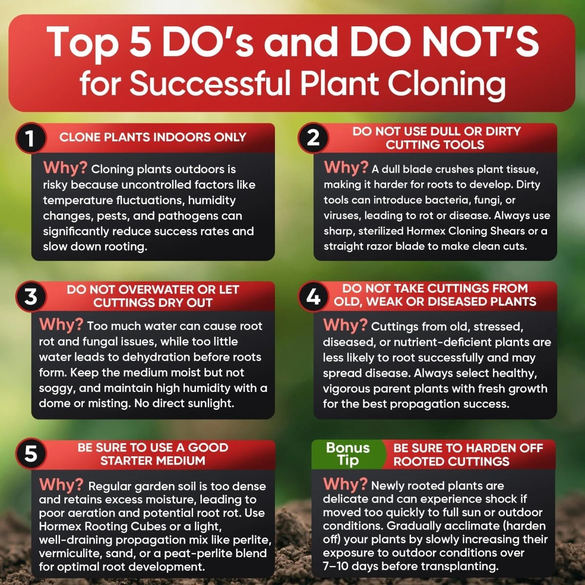 Hormex Rooting Cubes – Organic Peat & Coco Plugs For Cuttings & Seedlings - Image 6