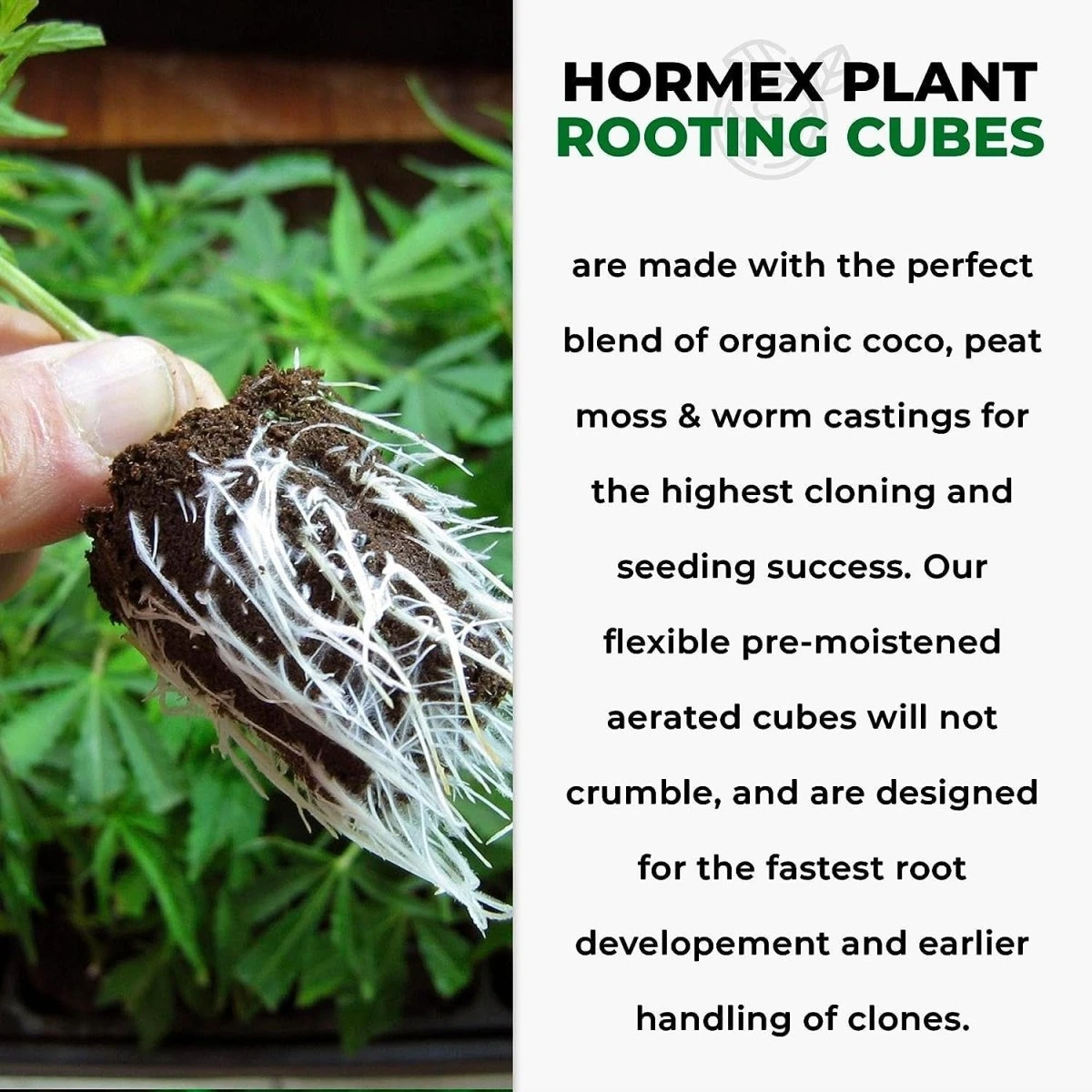 Hormex Rooting Cubes – Organic Peat & Coco Plugs For Cuttings & Seedlings - Image 4