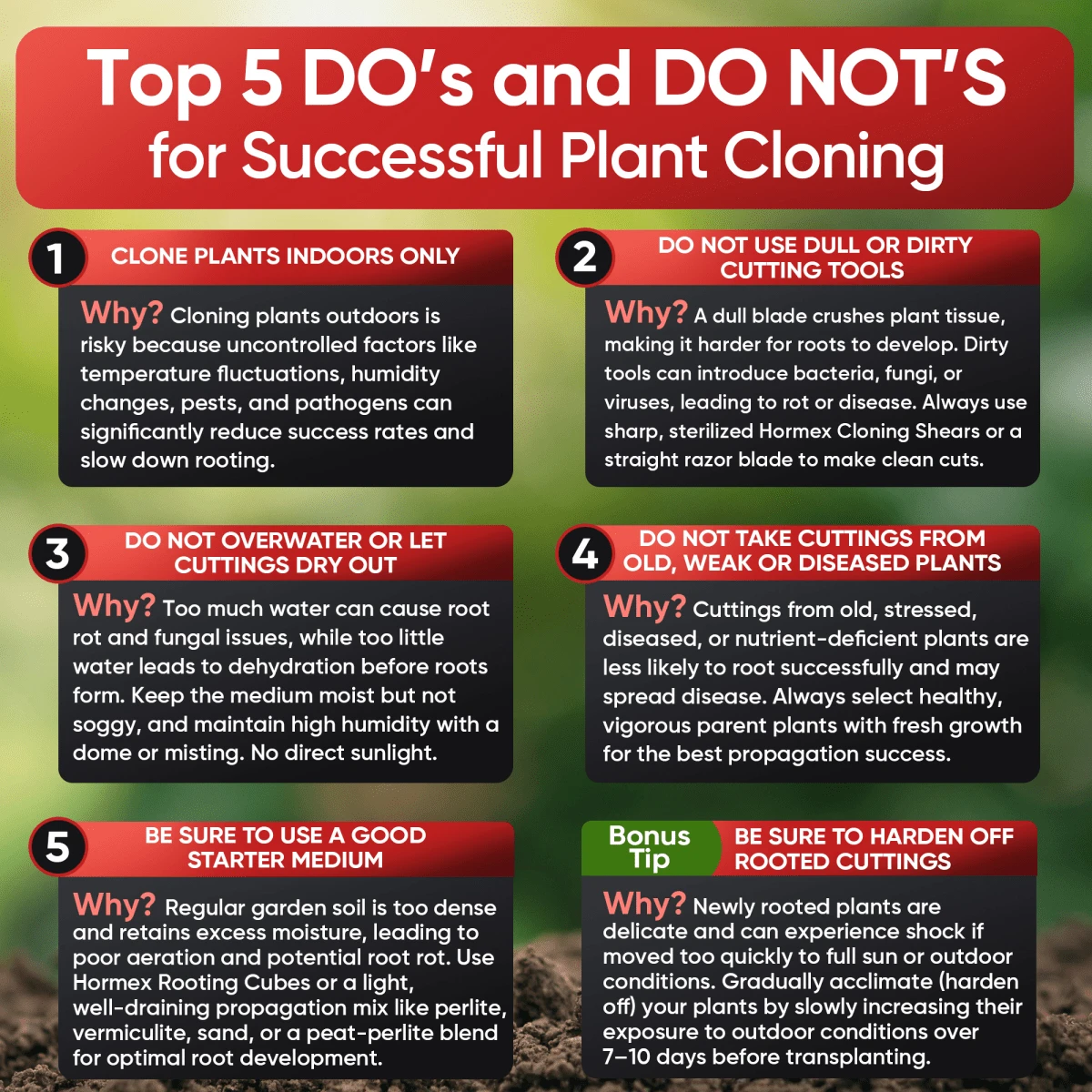 Hormex Rooting Powder #16 β 1.60% IBA Professional-Grade Cloning Hormone For Difficult Hardwood Cuttings - Image 10