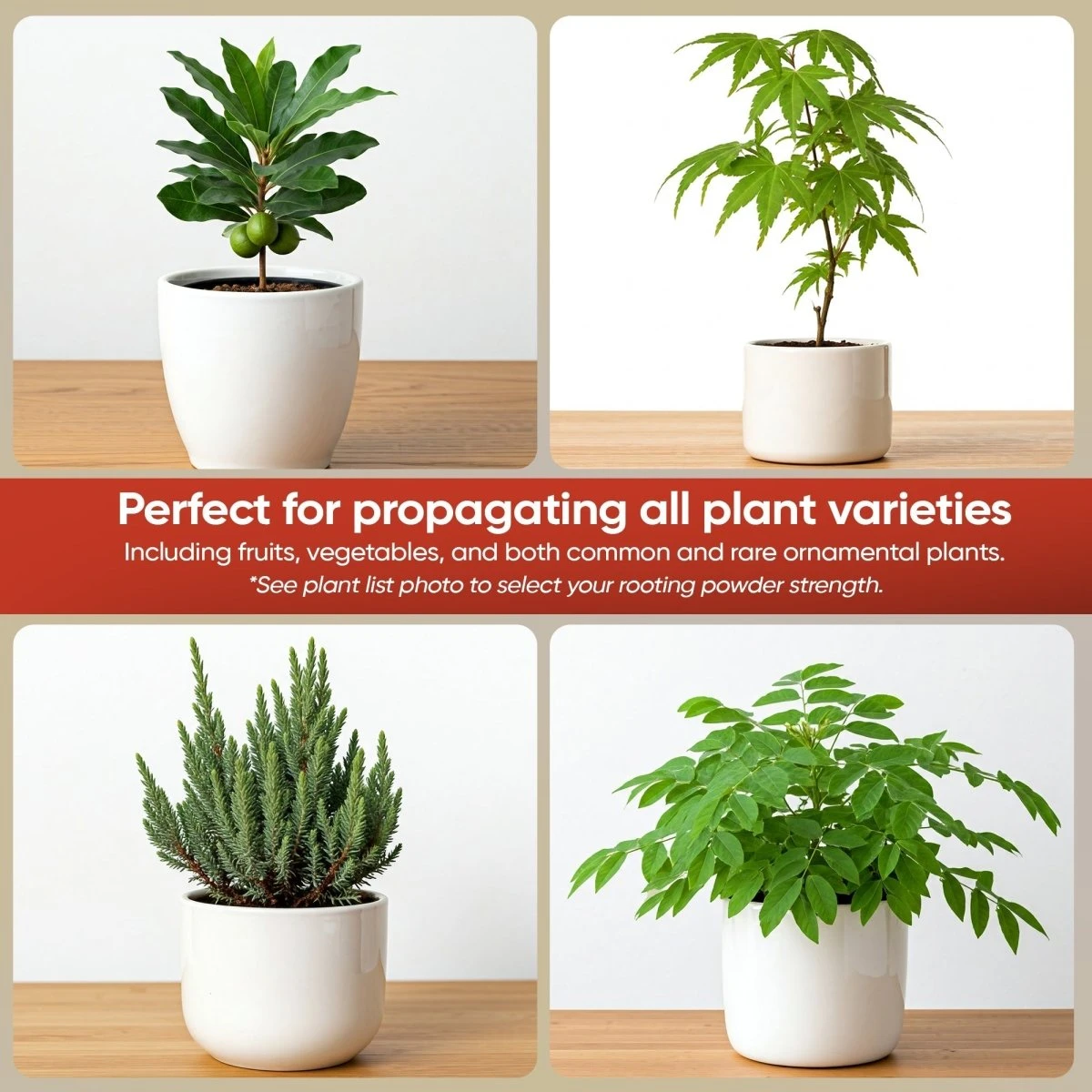 Hormex Rooting Powder #16 β 1.60% IBA Professional-Grade Cloning Hormone For Difficult Hardwood Cuttings - Image 7