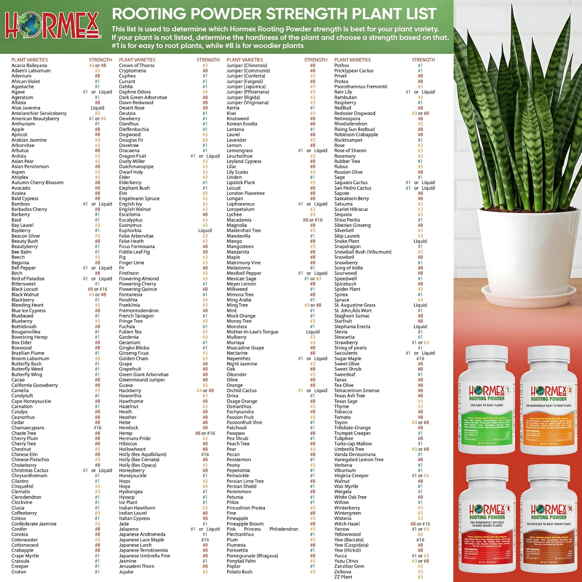 Hormex Rooting Powder #3 – 0.30% IBA Cloning Hormone For Home & Garden Cuttings - Image 8