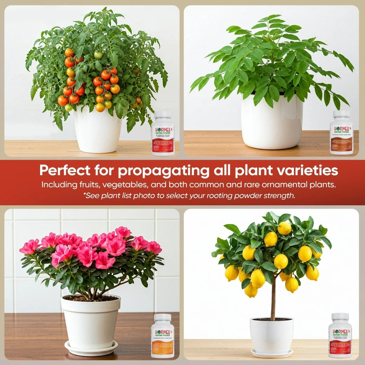 Hormex Rooting Powder Pack – #3, #8 & #16 High-Strength Cloning Kit For Semi-Softwood To Hardwood Cuttings - Image 4