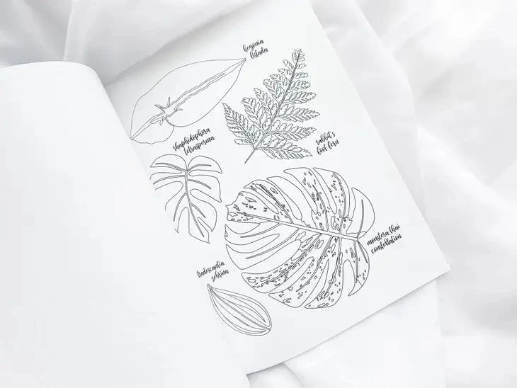 Houseplant Lover Coloring Book | 50 Pages Of Botanical Bliss - Image 3