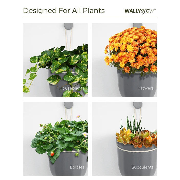 Loop Hanging Planter – Lavender (Self-Watering, Leak-Proof Design) - Image 6