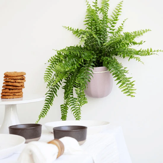 Loop Hanging Planter – Lavender (Self-Watering, Leak-Proof Design) - Image 5