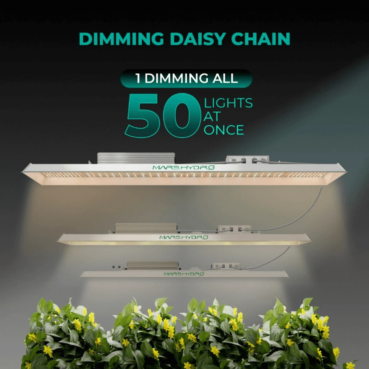 Mars Hydro TSL 2000 300W Dimmable Full Spectrum LED Grow Light | High-Efficiency Lighting - Image 6