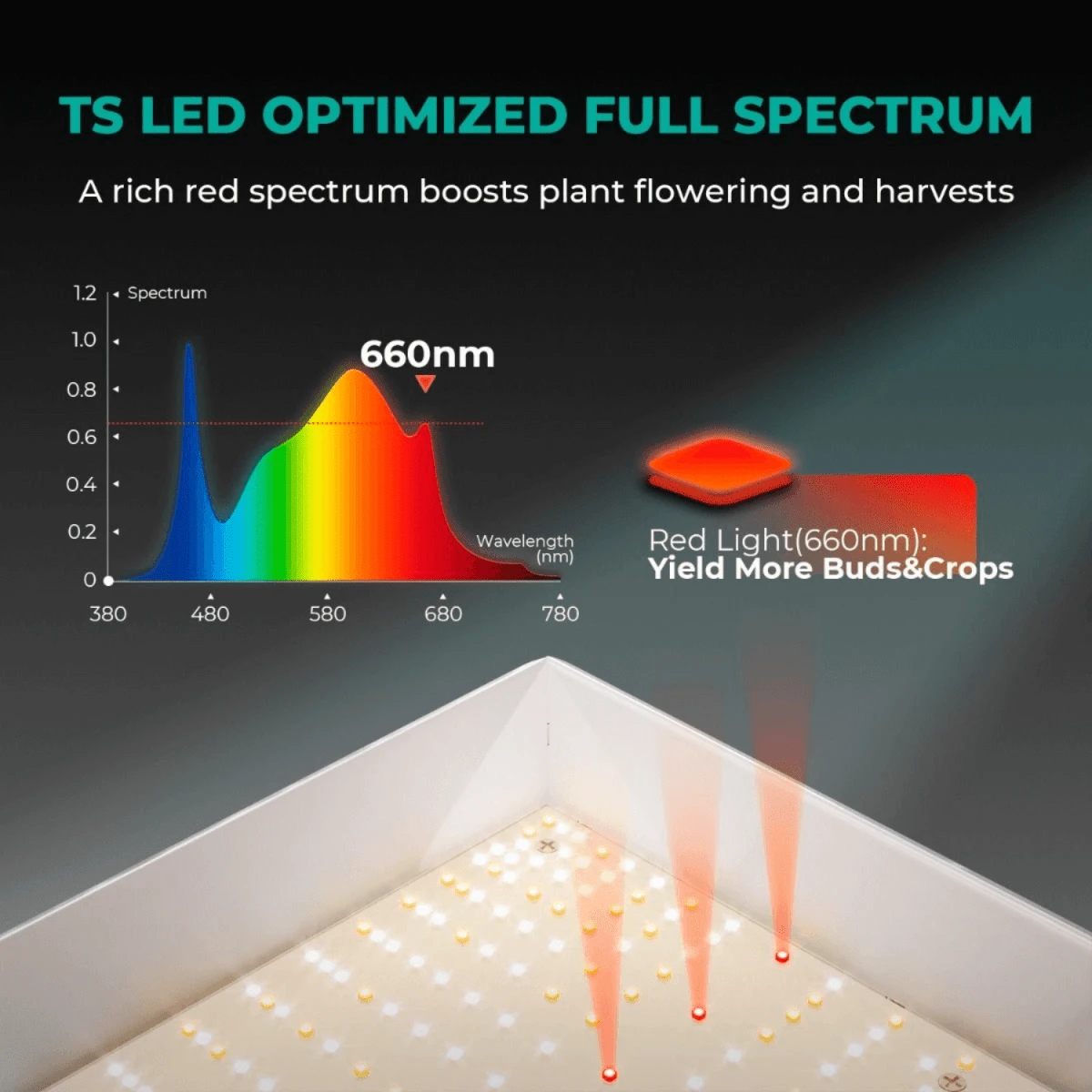 Mars Hydro TSL 2000 300W Dimmable Full Spectrum LED Grow Light | High-Efficiency Lighting - Image 4