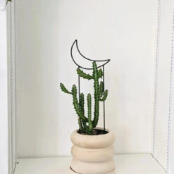 Metal Crescent Moon Trellis