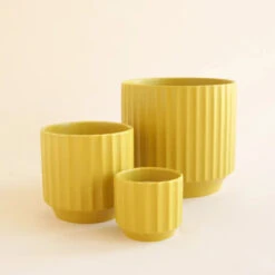 Monroe Planter | Palm Speckle