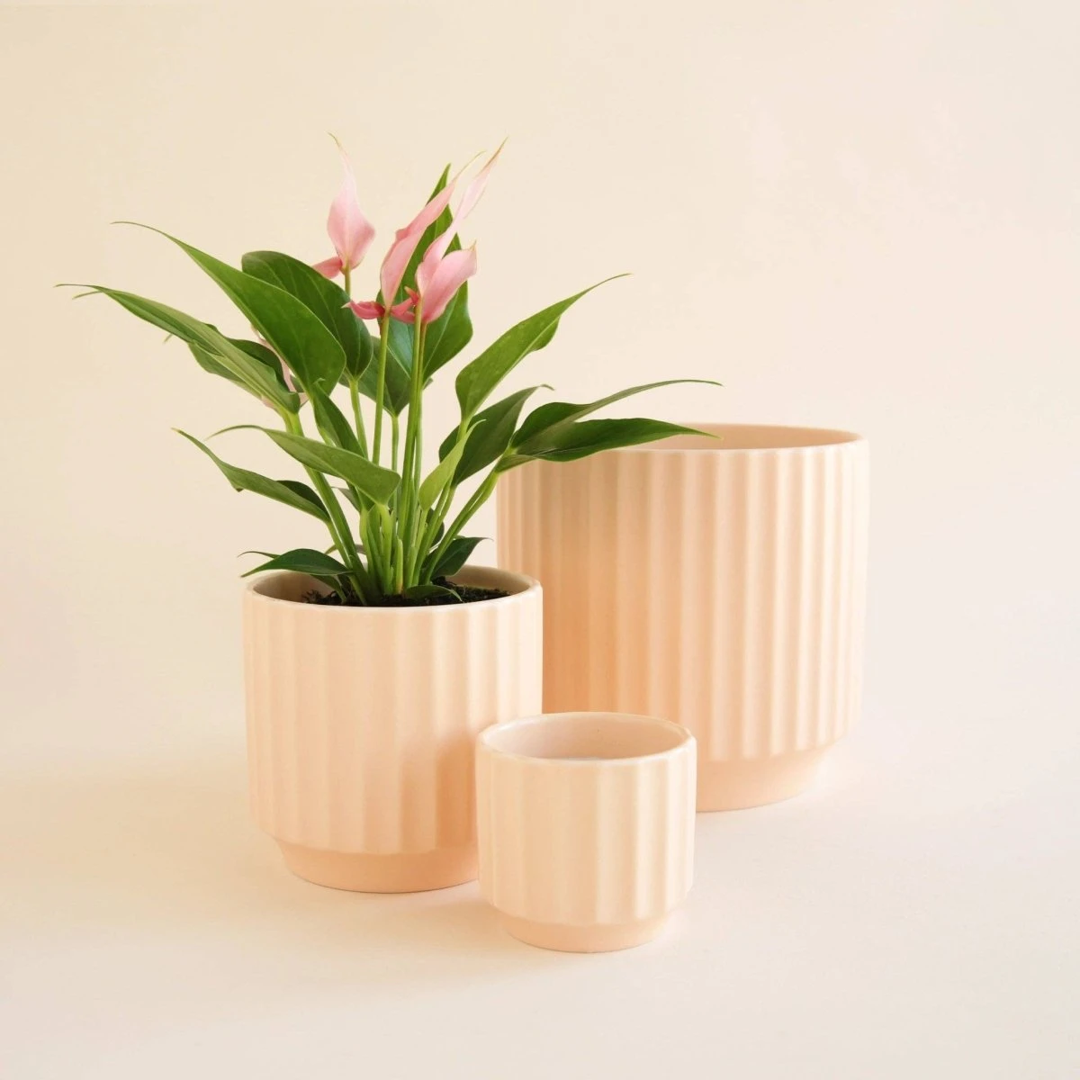 Monroe Planter | Vanilla - Image 3