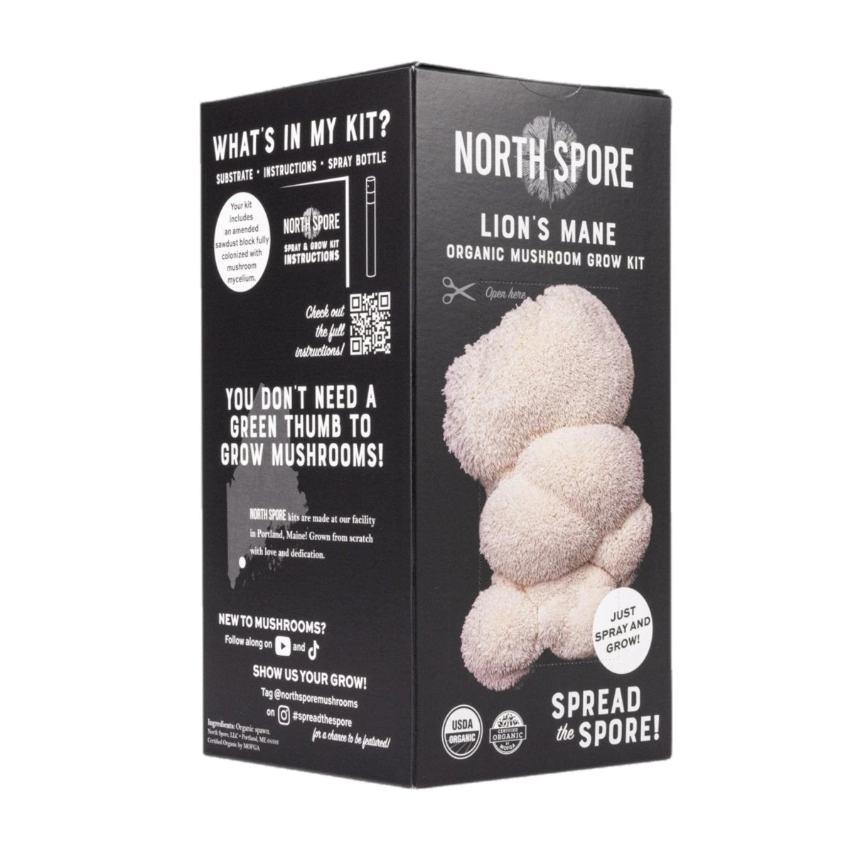 Organic Lion's Mane ‘Spray & Grow’ Mushroom Growing Kit - Image 5