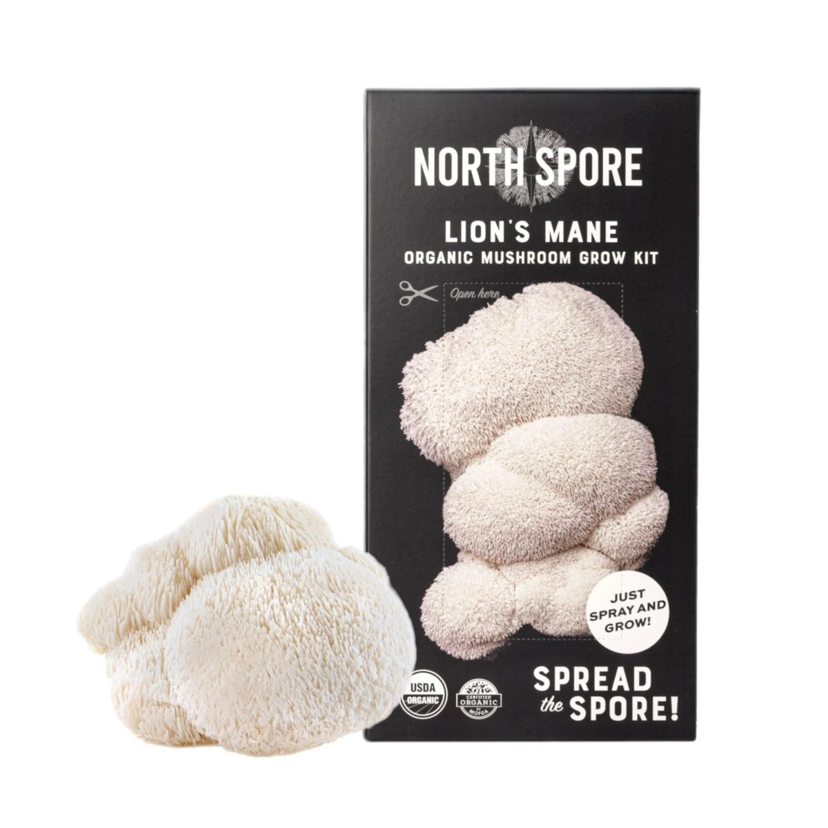 Organic Lion's Mane ‘Spray & Grow’ Mushroom Growing Kit - Image 4