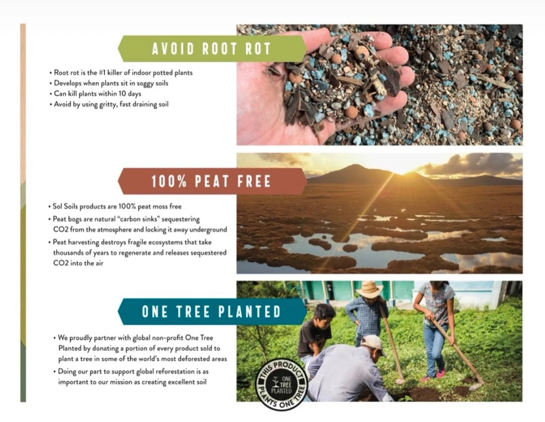 Original Sol Soil Topper – Decorative & Functional Rock Blend For Plants - Image 8