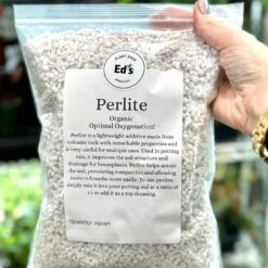 Perlite For Houseplants - Improve Soil Aeration And Drainage