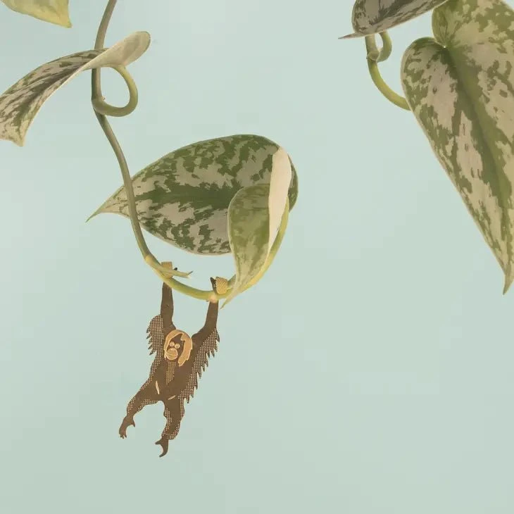 Plant Animal - Orangutan